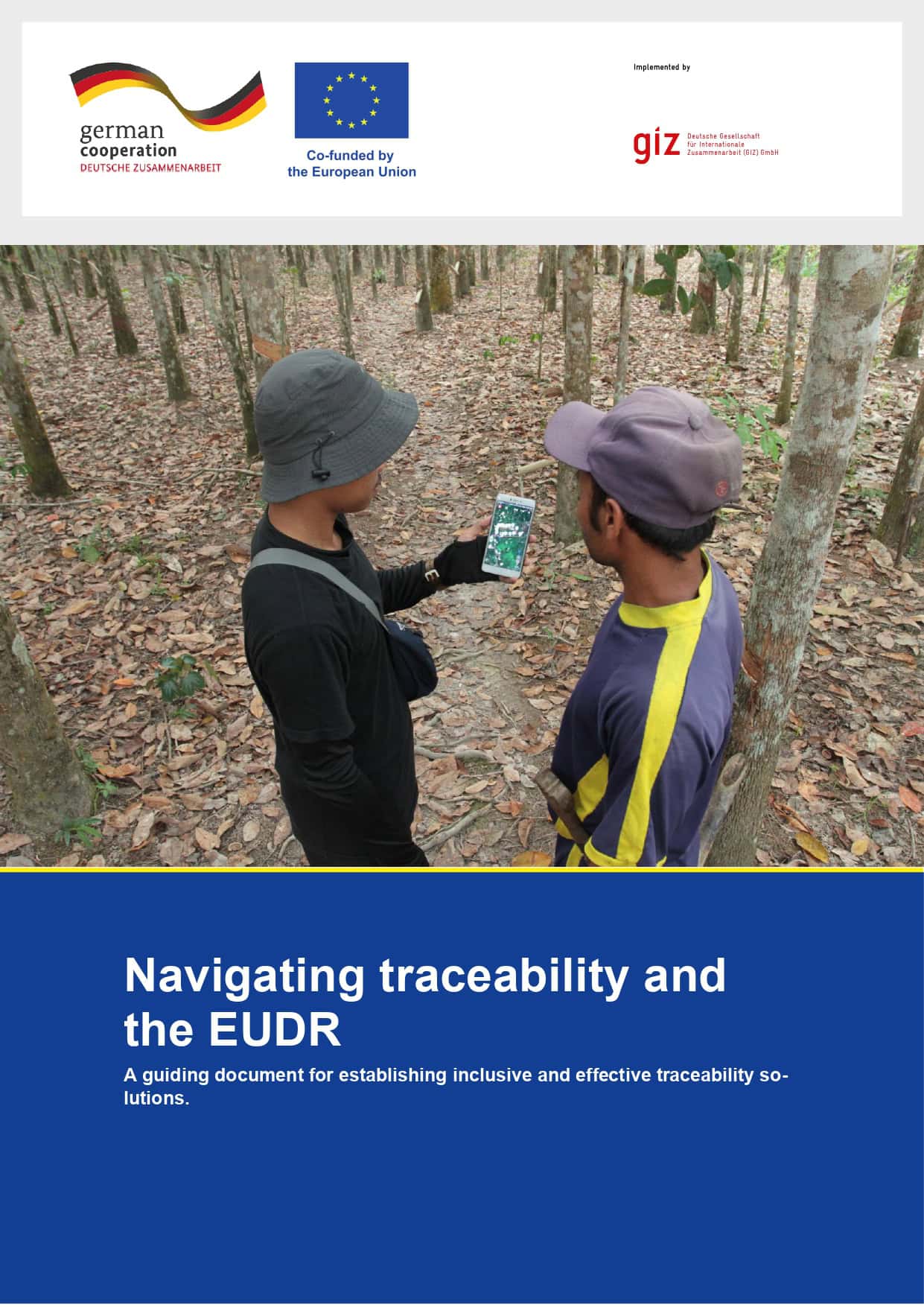 EUDR Engagement Team Europe Initiative On Deforestation free Value Chains palmoil-io-newsletter-june-2023