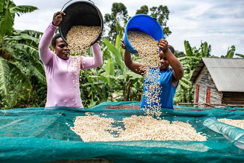 Two women drying coffee at a washing station in Kalehe - Majirane Cooperative. © CongoAgri Platform